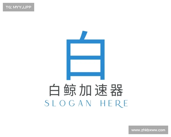 了解白鲸加速器